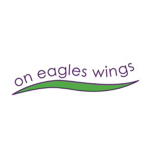 Team Page: Team On Eagles Wings