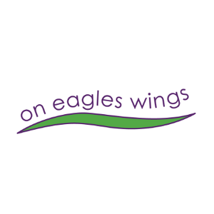 Fundraising Page: Team On Eagles Wings